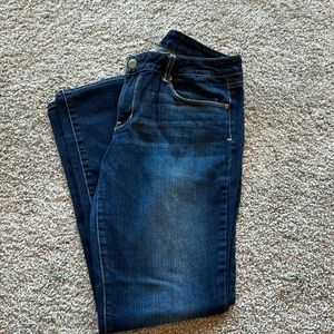 American Eagle Skinny Jeans, Size 14